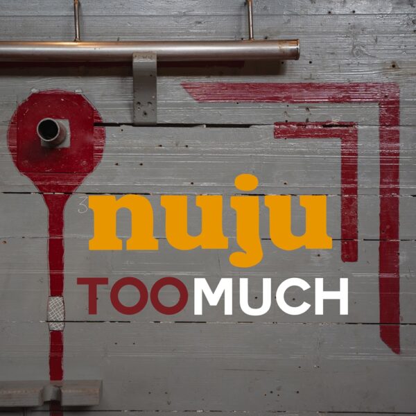 Too much il nuovo brano dei Nuju