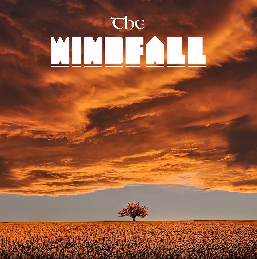 “Ouverture” è il nuovo singolo del progetto musicale The Windfall